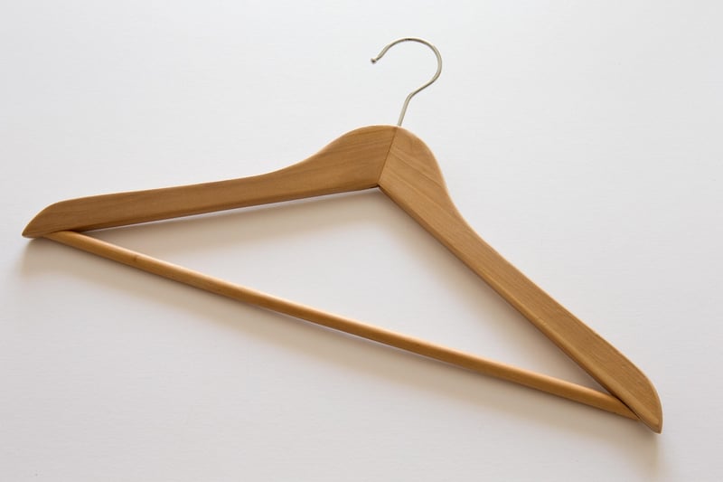 Sustainable Fashion Designer
